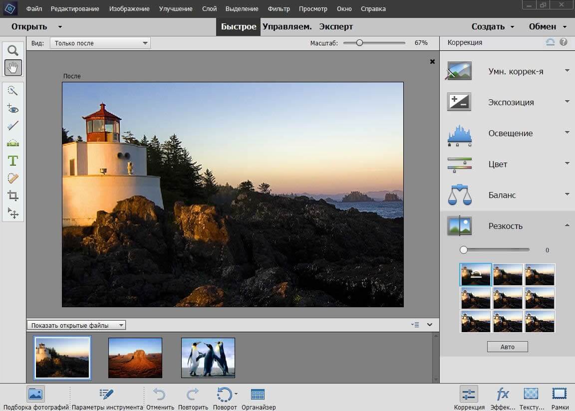 adobe photoshop elements full version download