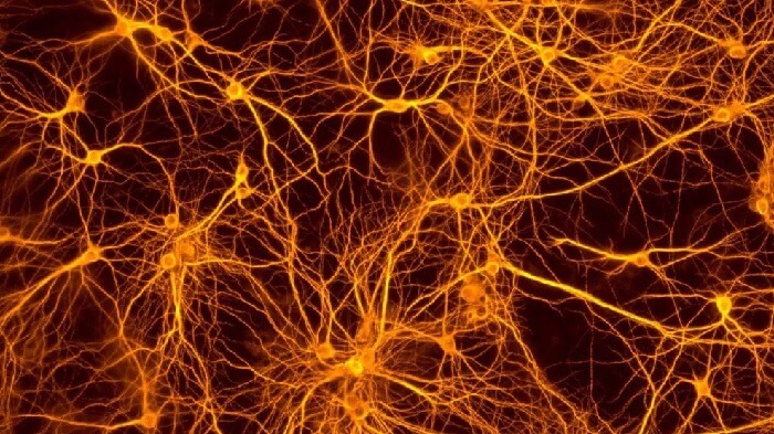 Нейронные сети выявят болезнь Альцгеймера 