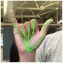 В Google создали систему распознания жестов