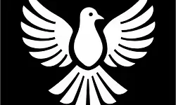 ByeDPI Manager ByeDPI Manager